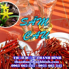 Mua bán sâm cau (tiên mao) tại Điện Biên giúp bổ thận tráng dương hiệu quả