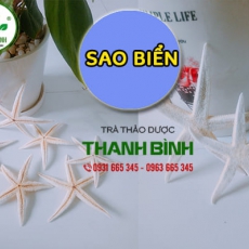 Mua bán sao biển tại huyện Thường Tín giúp ngăn ngừa ung thư rất tốt