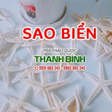 Mua bán sao biển tại quận 12 rất tốt cho người mắc bệnh tiểu đường