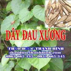 Mua bán sỉ và lẻ dây đau xương tại Bình Dương giá tốt nhất