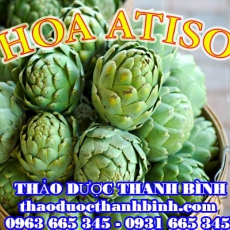 Mua bán sỉ và lẻ hoa atiso tại Bắc Kạn giá tốt nhất