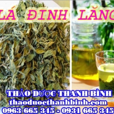 Mua bán sỉ và lẻ lá đinh lăng tại Cà Mau giá tốt nhất