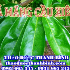 Mua bán sỉ và lẻ lá mãng cầu xiêm tại Bạc Liêu giá tốt nhất