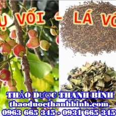 Mua bán sỉ và lẻ nụ vối - lá vối tại Bình Phước giá tốt nhất