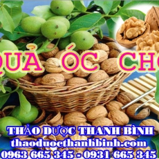 Mua bán sỉ và lẻ quả óc chó tại Bắc Kạn giá tốt nhất