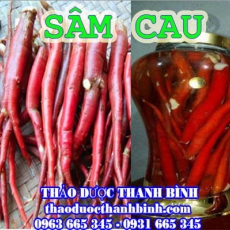 Mua bán sỉ và lẻ sâm cau tại Điện Biên giá tốt nhất