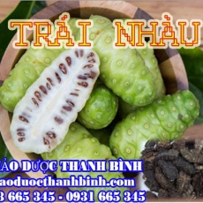 Mua bán sỉ và lẻ trái nhàu khô tại Bình Thuận giá tốt nhất