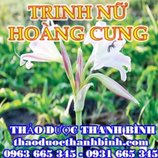 Mua bán sỉ và lẻ trinh nữ hoàng cung tại Bắc Giang giá tốt nhất