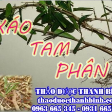 Mua bán sỉ và lẻ xáo tam phân tại Bắc Ninh giá tốt nhất