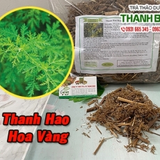 Mua bán thanh hao hoa vàng ở quận Bình Thạnh hỗ trợ điều trị ung thư tốt nhất