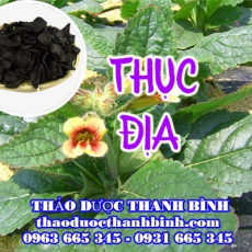 Mua bán thục địa tại Đồng Nai giúp chống suy nhược cơ thể đau mỏi xương khớp hiệu quả