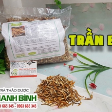 Mua bán trần bì tại quận 12 dùng để điều trị rối loạn tiêu hóa tốt nhất