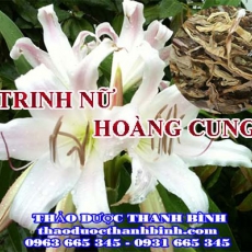 Mua bán trinh nữ hoàng cung tại Bắc Giang giúp ức chế sự phát triển của tế bào ung thư hiệu quả