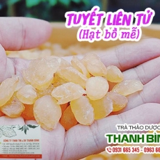 Mua bán tuyết liên tử ở huyện Củ Chi có tác dụng dưỡng da mịn da