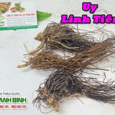 Mua bán uy linh tiên ở huyện Củ Chi hỗ trợ điều trị hóc xương cá hiệu quả nhất