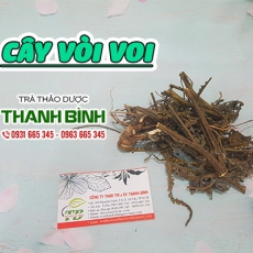 Mua bán vòi voi ở quận Tân Bình chữa bệnh vảy nến á sừng hiệu quả