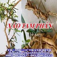 Mua bán xáo tam phân tại Bắc Ninh giúp trị xương khớp nhức mỏi hiệu quả