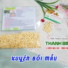 Mua bán xuyên bối mẫu ở quận Bình Tân có tác dụng điều trị viêm phế quản