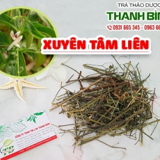 Mua bán xuyên tâm liên tại quận 5 dùng để điều trị viêm phổi lao phổi