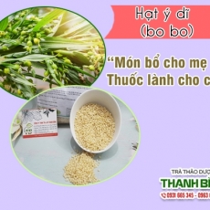 Mua bán ý dĩ ở huyện Bình Chánh điều trị sỏi thận viêm loét dạ dày