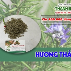 Mua cây bán cây hương thảo tại TP.HCM uy tín chất lượng tốt nhất