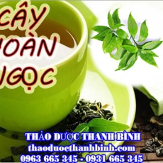 Mua cây hoàn ngọc ở đâu tại Điện Biên an toàn hiệu quả ???