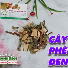 Mua cây phèn đen giá rẻ uy tín chất lượng nhất ở đâu?
