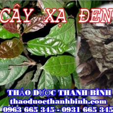 Mua cây xạ đen ở đâu tại Bình Định an toàn hiệu quả ???