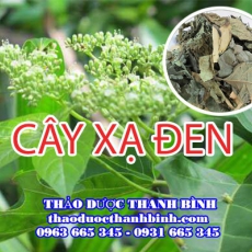 Cây xạ đen
