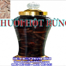 Mua chuối hột rừng ở đâu tại Bà Rịa - Vũng Tàu an toàn hiệu quả ???