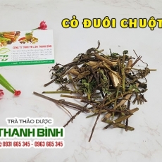 Mua cỏ đuôi chuột giá rẻ uy tín chất lượng nhất ở đâu?