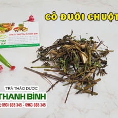 Mua bán cỏ đuôi chuột tại TP.HCM uy tín chất lượng tốt nhất