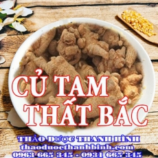Củ tam thất