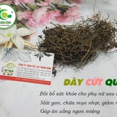 Mua dây cứt quạ giá rẻ uy tín chất lượng ở đâu?