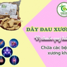 Mua dây đau xương giá rẻ uy tín chất lượng ở đâu?
