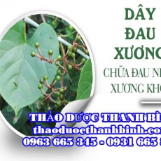 Mua dây đau xương ở đâu tại Bình Dương an toàn hiệu quả ???