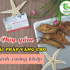Mua dây gắm giá rẻ uy tín chất lượng nhất ở đâu?