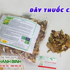 Mua bán dây thuốc cá tại TP.HCM uy tín chất lượng tốt nhất