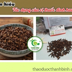 Mua bán đinh hương tại TP.HCM uy tín chất lượng tốt nhất