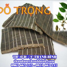 Mua đỗ trọng ở đâu tại Cần Thơ an toàn hiệu quả ???