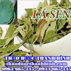 Mua lá sen ở đâu tại Bình Dương an toàn hiệu quả ???