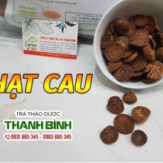 Mua hạt cau ở đâu tại Hà Nội uy tín chất lượng