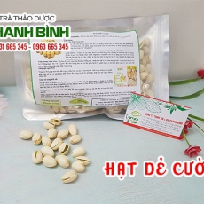 Mua bán hạt dẻ cười tại TP.HCM uy tín chất lượng tốt nhất