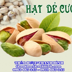 Mua hạt dẻ cười tại Thảo dược Thanh Bình