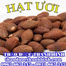 Mua hạt ươi ở đâu tại Bắc Kạn an toàn hiệu quả ???