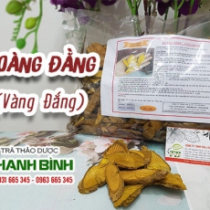 Mua bán hoàng đằng tại TP.HCM uy tín chất lượng tốt nhất
