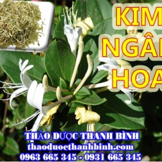 Mua kim ngân hoa ở đâu tại Cần Thơ an toàn hiệu quả ???