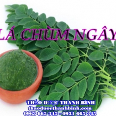 Mua lá chùm ngây ở đâu tại Bà Rịa - Vũng Tàu an toàn hiệu quả ???