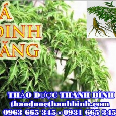 Mua lá đinh lăng ở đâu tại Cà Mau an toàn hiệu quả ???