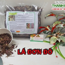 Mua bán lá đơn đỏ tại TP.HCM uy tín chất lượng tốt nhất